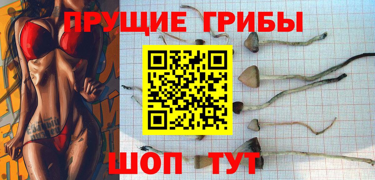 Великие Луки  Галлюциногенные грибы Magic Shrooms  Вход с VPN  Галлюциногенные грибы прущие грибы 